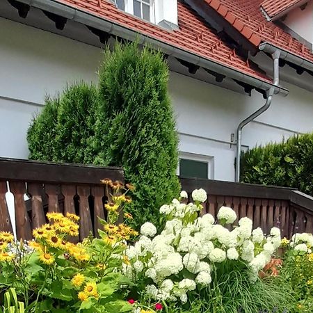 Wysokie Laki Domki W Gorach Kowary Exteriör bild