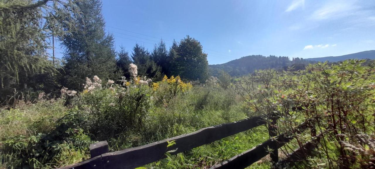 Wysokie Laki Domki W Gorach Kowary Exteriör bild