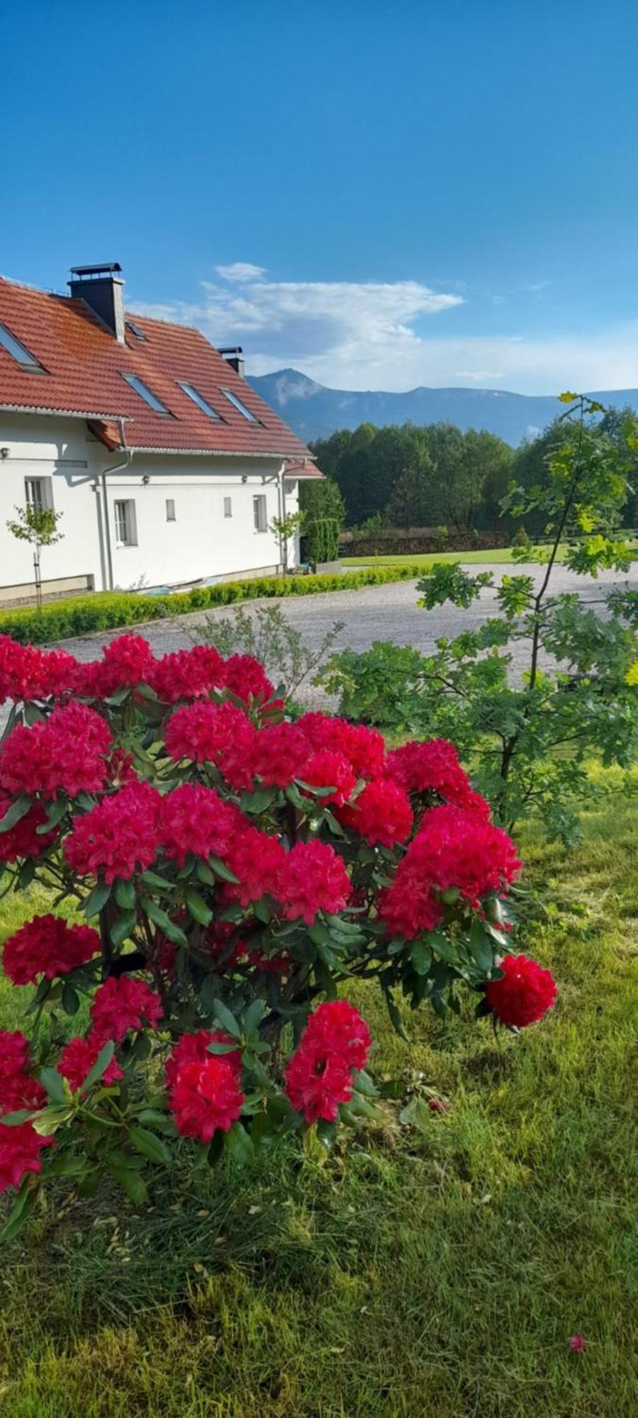 Wysokie Laki Domki W Gorach Kowary Exteriör bild