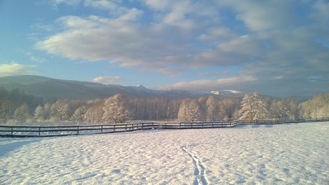 Wysokie Laki Domki W Gorach Kowary Exteriör bild
